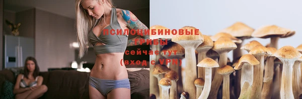 гашик Арсеньев