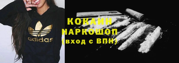 гашик Арсеньев