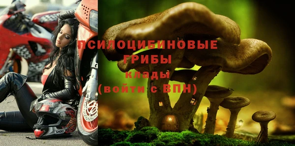 2c-b Аркадак